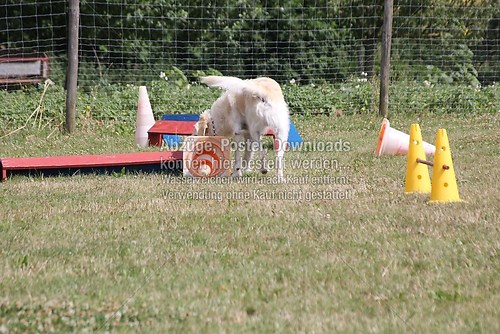 IMG_1871