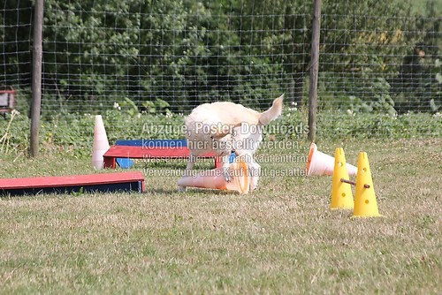 IMG_1872