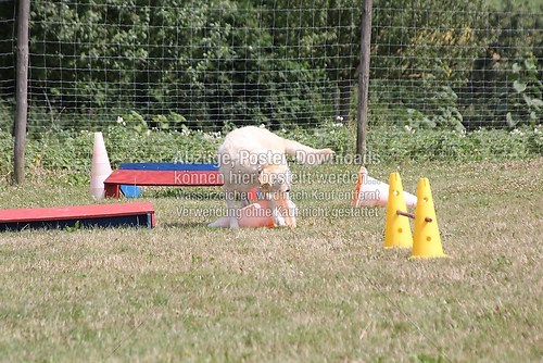 IMG_1873