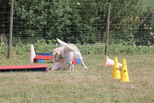 IMG_1874