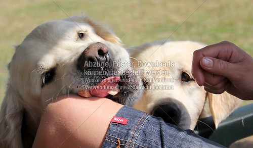 IMG_037600