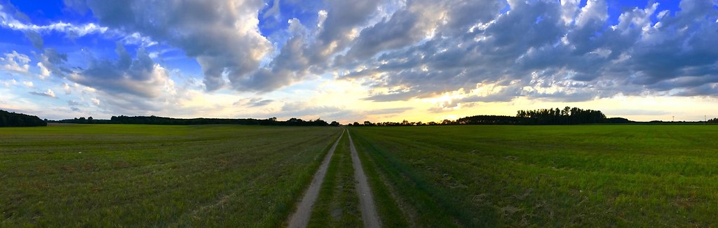 IMG_7354 (Bearbeitet)