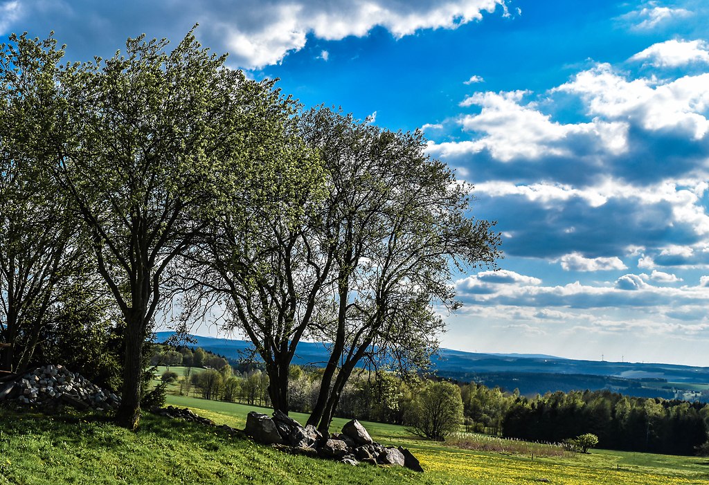Frühling