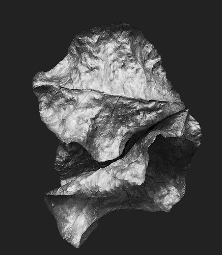 Zweite Schöpfung #114, 2021