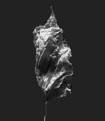 Zweite Schöpfung #93, 2022