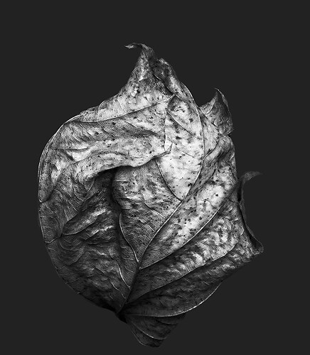 Zweite Schöpfung #98, 2022