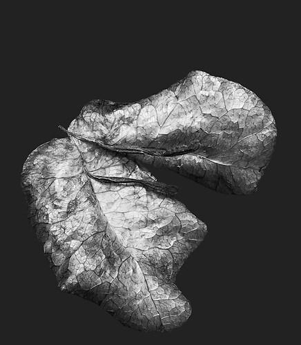 Zweite Schöpfung #19, 2022