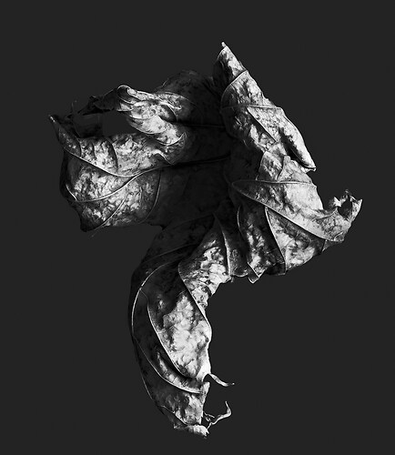 Zweite Schöpfung #18, 2022