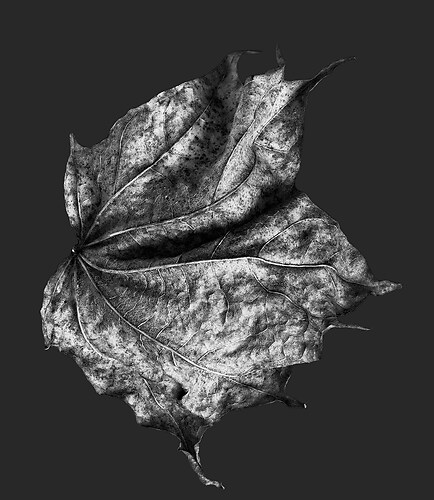 Zweite Schöpfung #22, 2022