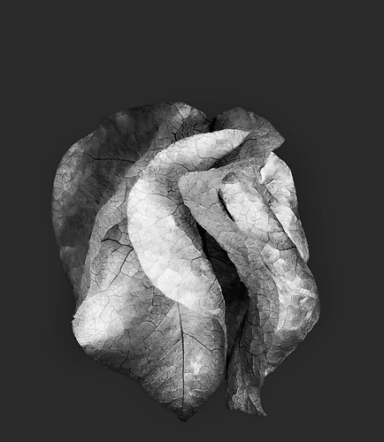 Zweite Schöpfung #9, 2022