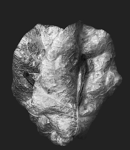 Zweite Schöpfung #157, 2024