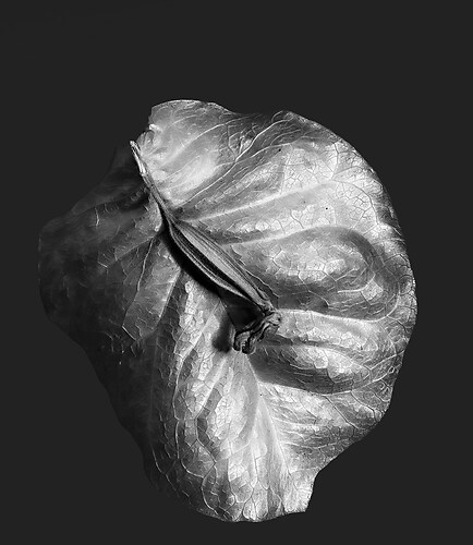 Zweite Schöpfung #168, 2024