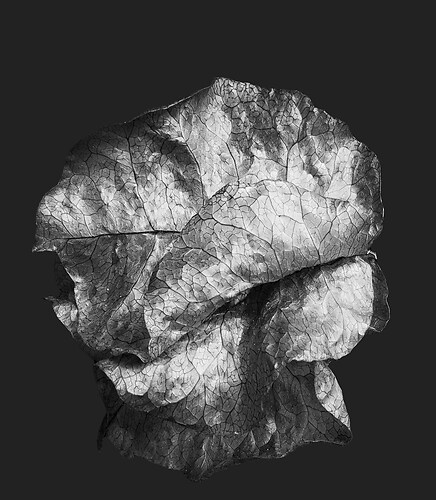 Zweite Schöpfung #191, 2025