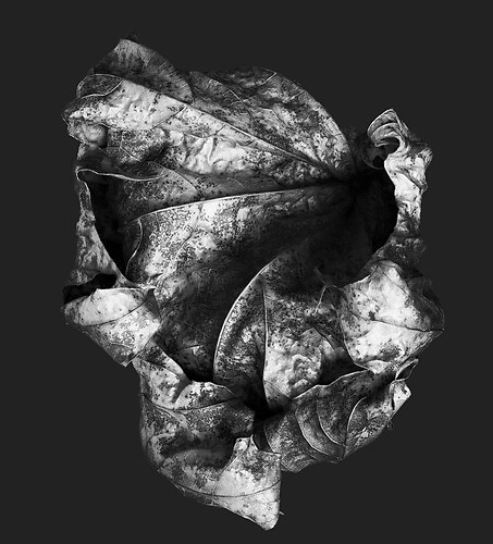 Zweite Schöpfung #86, 2022