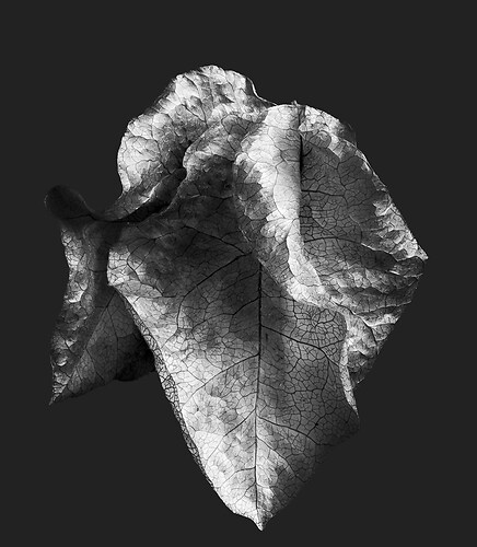 Zweite Schöpfung #40, 20222