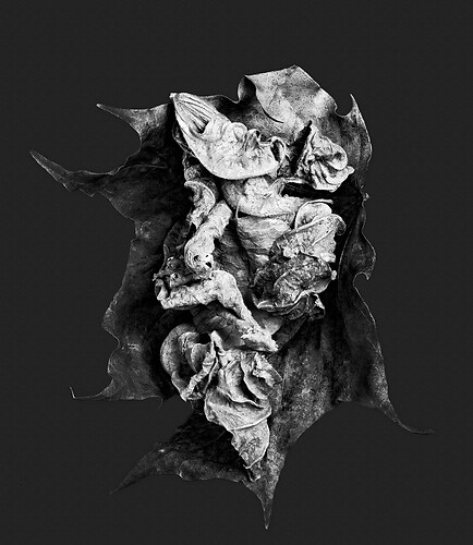 Zweite Schöpfung #88, 2022