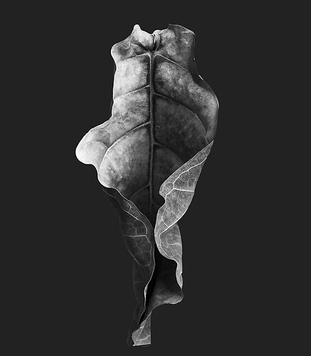 Zweite Schöpfung #167, 2024