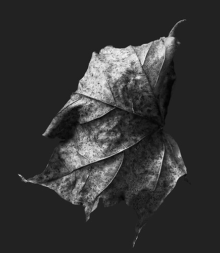 Zweite Schöpfung #108, 2022