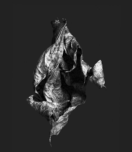 Zweite Schöpfung #24, 2022