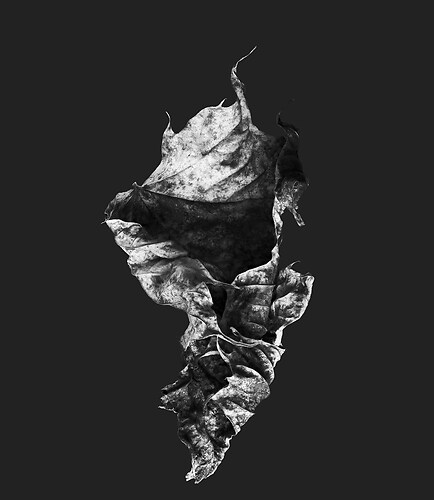 Zweite Schöpfung #58, 2022