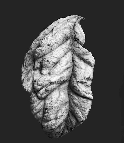 Zweite Schöpfung #149, 2023