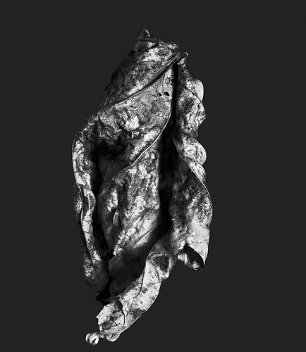 Zweite Schöpfung #102, 2022