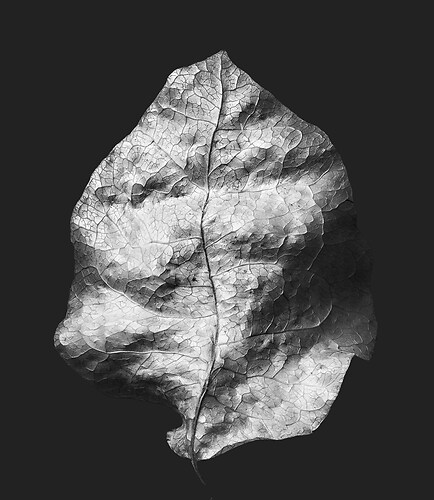 Zweite Schöpfung #184, 2025