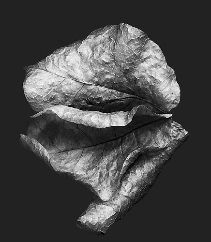 Zweite Schöpfung #7, 2022