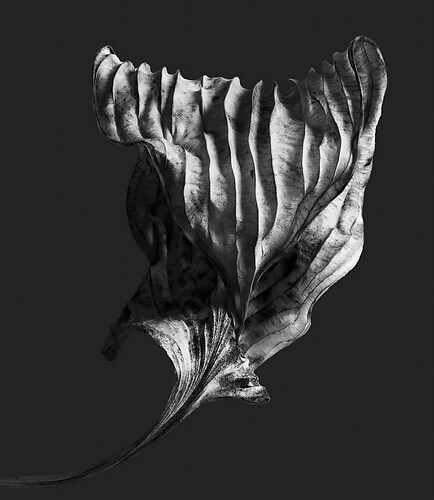 Zweite Schöpfung #166, 2024