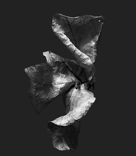 Zweite Schöpfung #194, 2025