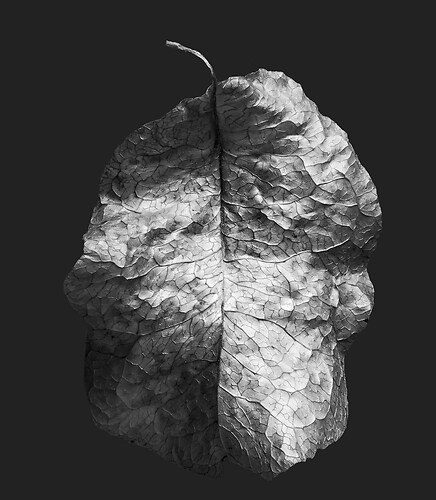 Zweite Schöpfung #25, 2022