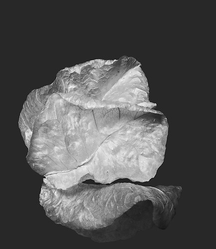 Zweite Schöpfung #70, 2022