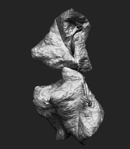 Zweite Schöpfung #48, 2021