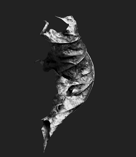 Zweite Schöpfung #2, 2022