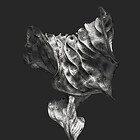 Serie "Zweite Schöpfung" Galerie 2