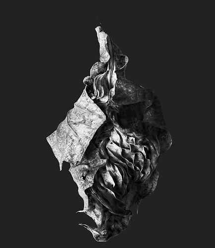 Zweite Schöpfung #147, 2023