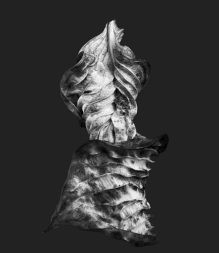 Zweite Schöpfung #132, 2022