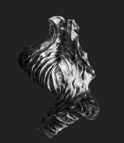 Zweite Schöpfung #187, 2025