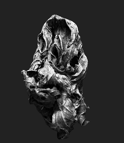 Zweite Schöpfung #192, 2025