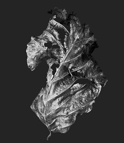 Zweite Schöpfung #13, 2022