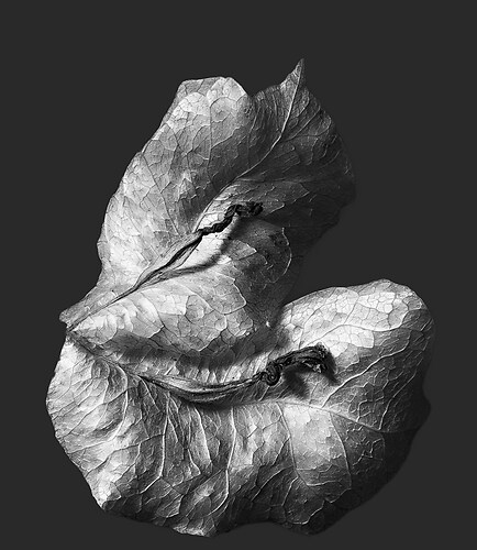 Zweite Schöpfung #73a, 2022