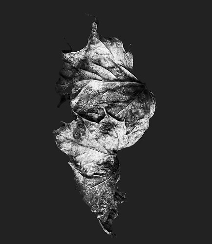 Zweite Schöpfung #58, 2022 (2)