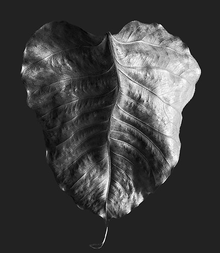 Zweite Schöpfung #53, 2022