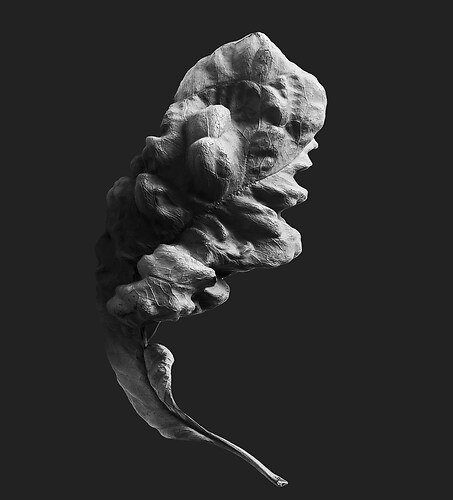 Zweite Schöpfung #165, 2024