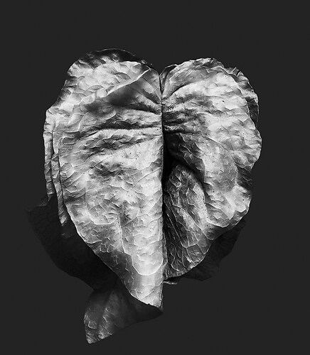 Zweite Schöpfung #170, 2024