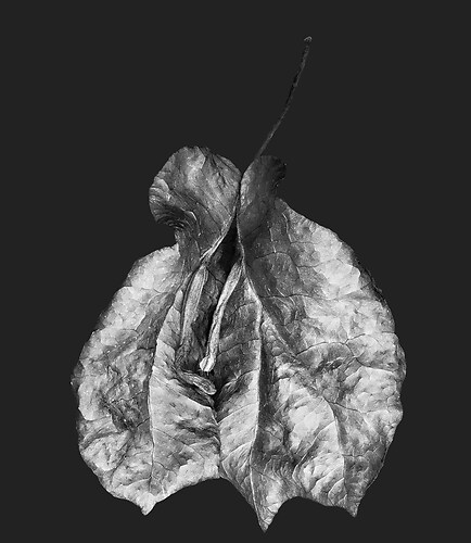 Zweite Schöpfung #159b, 2024