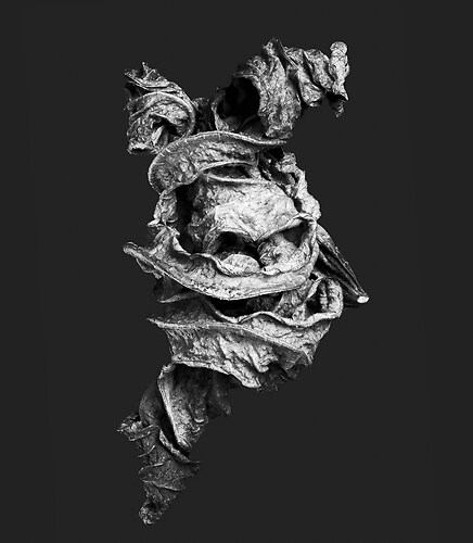 Zweite Schöpfung #134, 2022