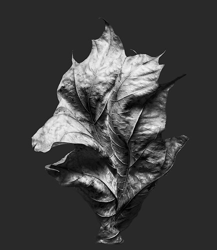 Zweite Schöpfung #66, 2021