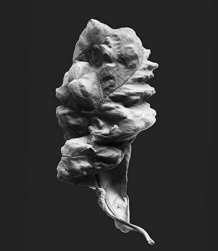 Zweite Schöpfung #164, 2024