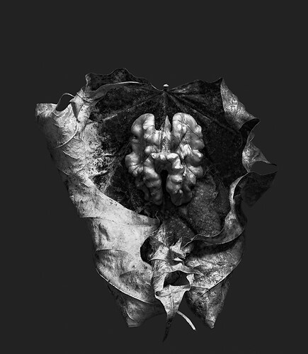 Zweite Schöpfung #141, 2023